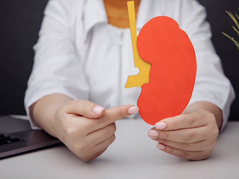 Böbrek Nakli Sonrası Tekrar Diyalize Dönmek!