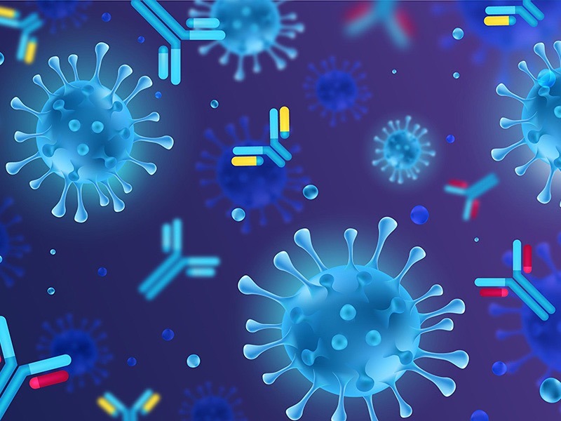 Aşı Olmadan Önce Antikor Bakmak Gerekli Mi? Antikor Titrelerinin Bir Anlamı Var Mı?